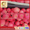 Factory Directly Supply Fresh Red FUJI Apple From Shandong